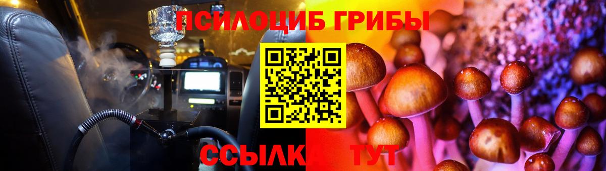 Тула  Галлюциногенные грибы GOLDEN TEACHER  Вход с VPN  Галлюциногенные грибы ЛСД 